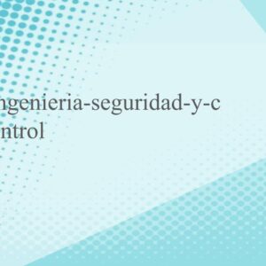ingenieria-seguridad-y-control