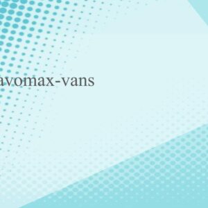lavomax-vans